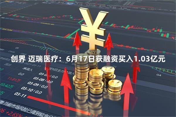 创界 迈瑞医疗：6月17日获融资买入1.03亿元